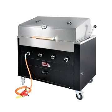 Beelonia Gas-Lava-Grill